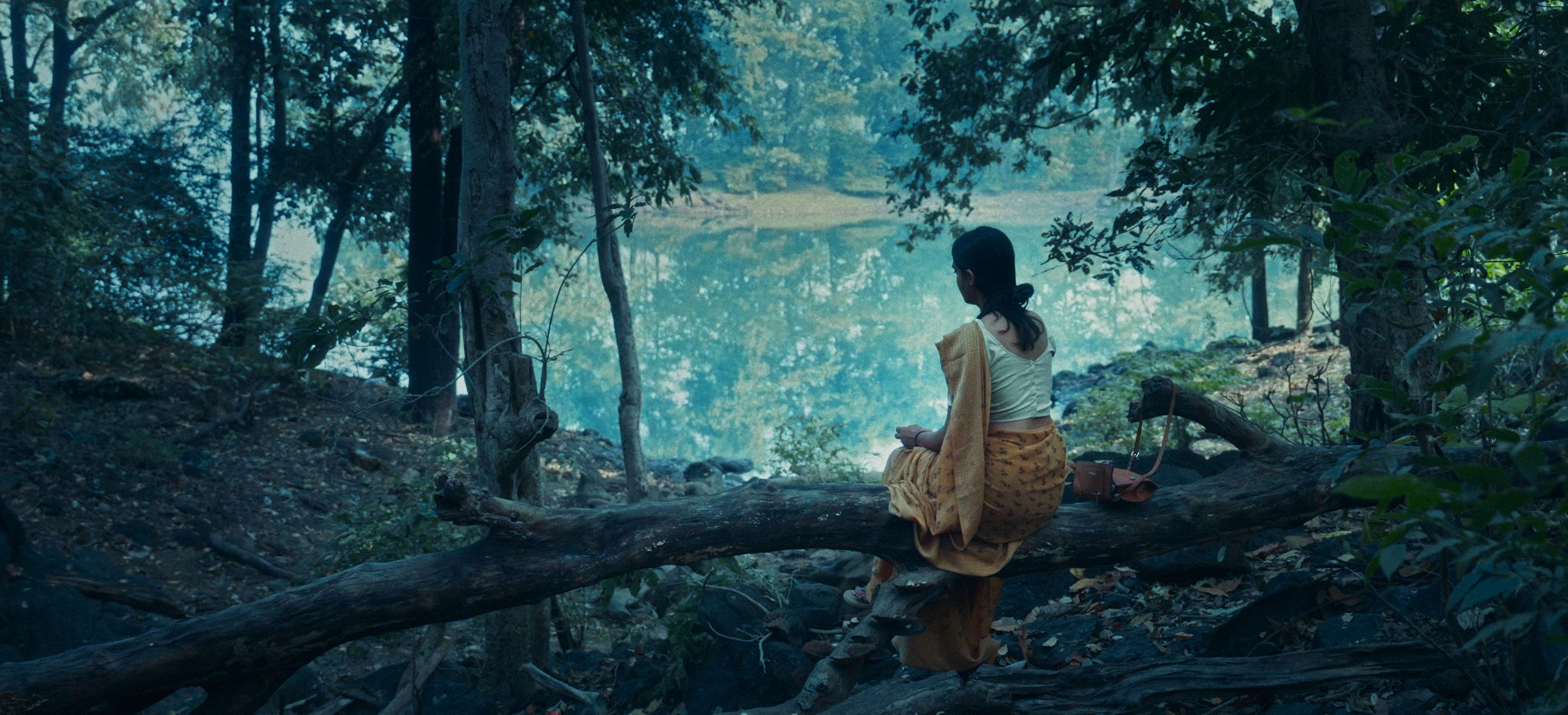 Songs the woods sing